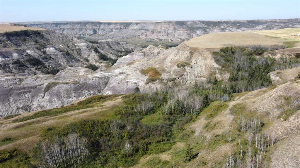 Photo of Listing #A2284844