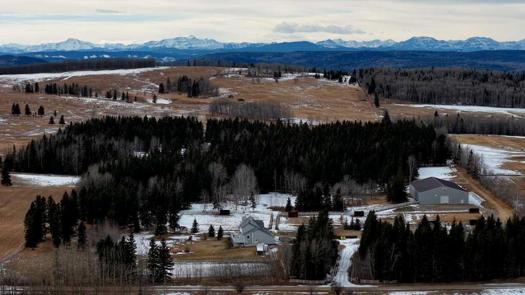 Photo of Listing #A2286933