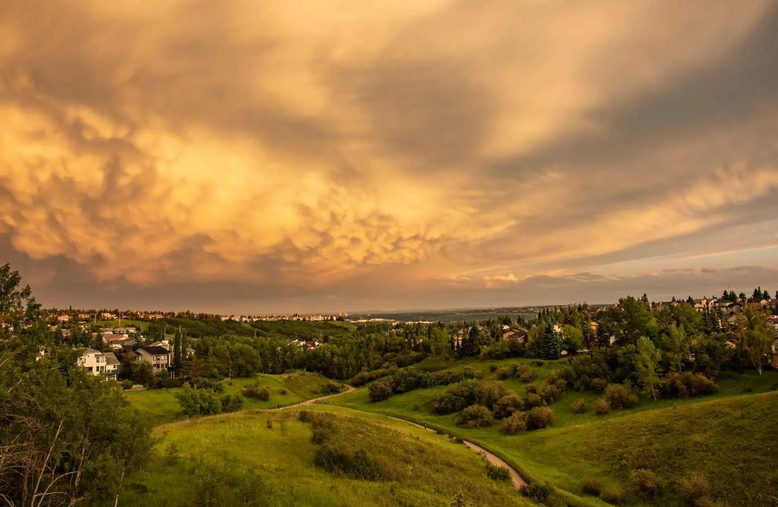 Xx Edgepark Rise Nw Calgary Alberta T3A 4G4 Edgemont Details
