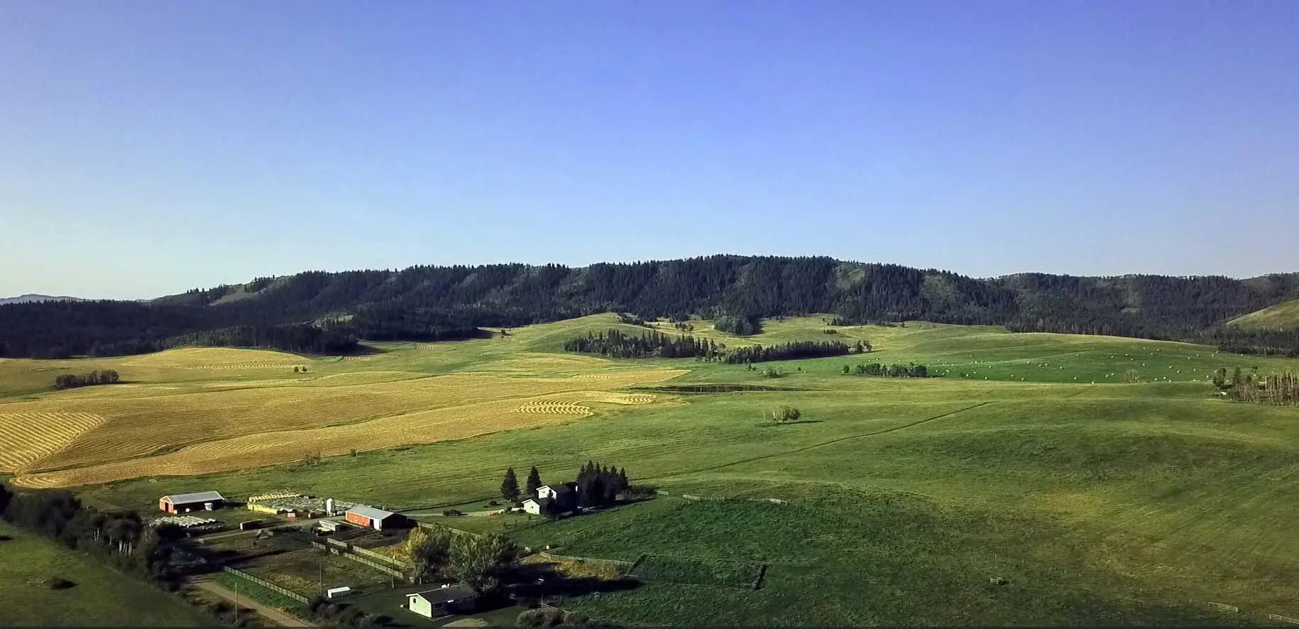  12-20-4W5   Rural Foothills County Alberta T0L 1K0 NONE Details
