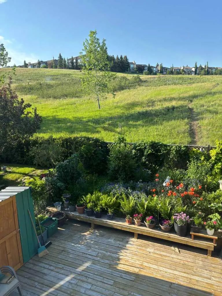 Xxx Edgemont Estates Drive Nw Calgary Alberta t3a 2m3 Edgemont Details