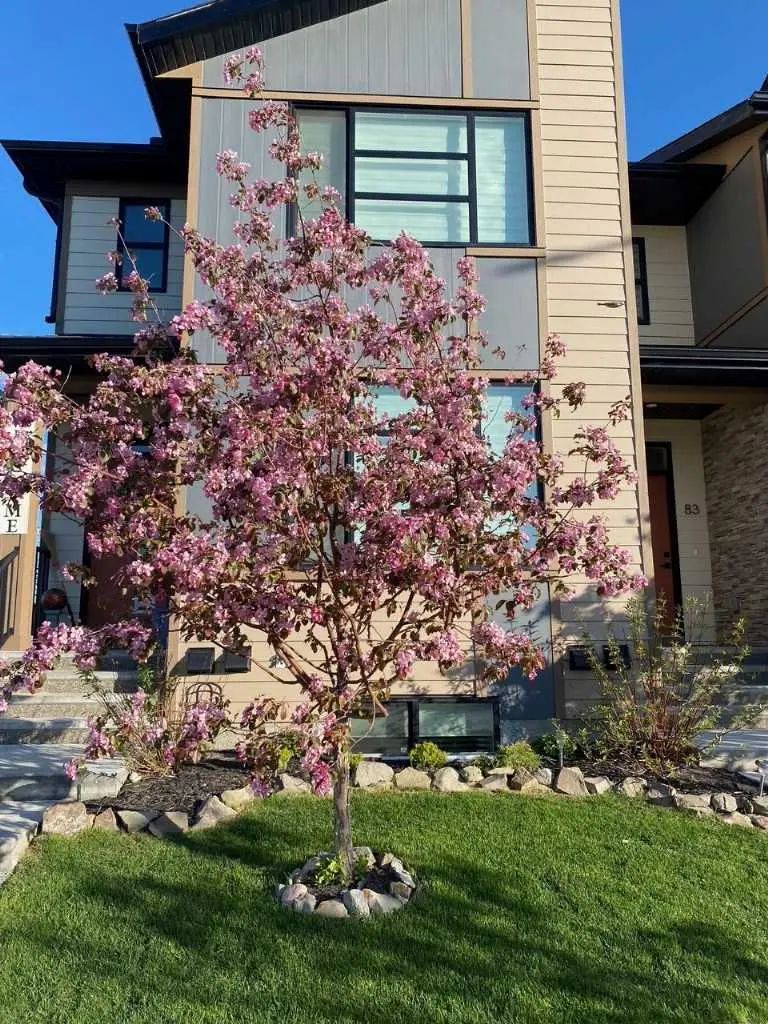 Xx Wolf Hollow Park Se Calgary Alberta T2X 4M8 Wolf Willow Details