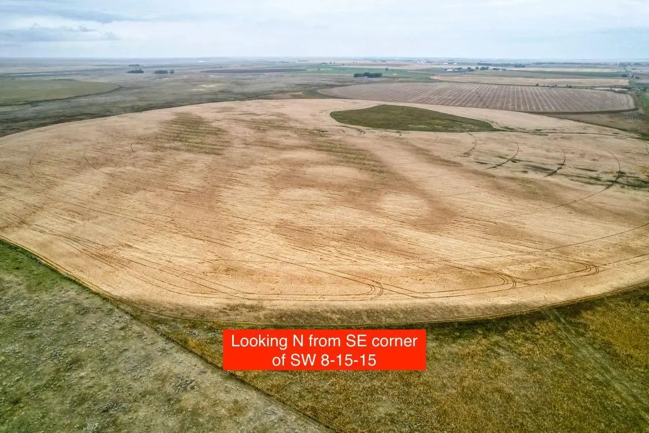 In County of Newell   Scandia Alberta T0J 2Z0 NONE Details