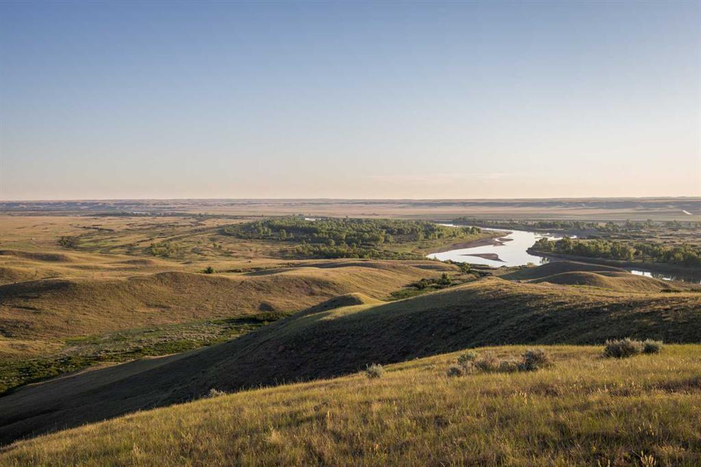 Range Road 6-4 Highway 555 Rural Special Areas No. 2 Alberta T0J 1W0 NONE Details