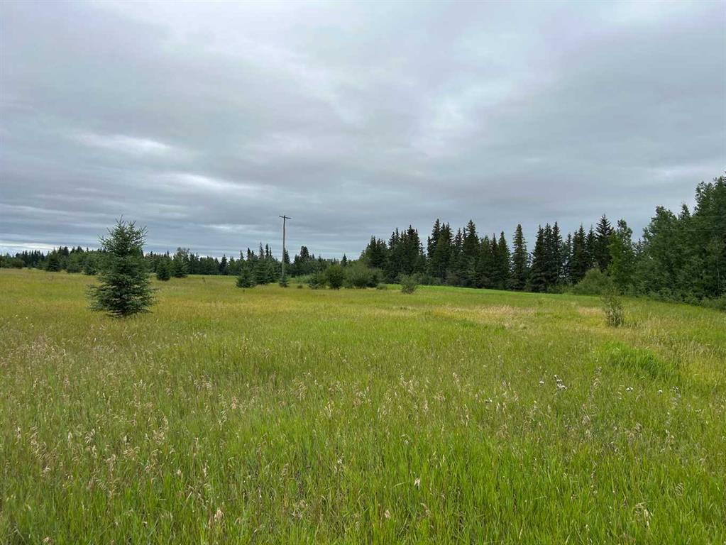 Xxxx Xxx Range High Prairie Alberta T0G 1E0 NONE Details