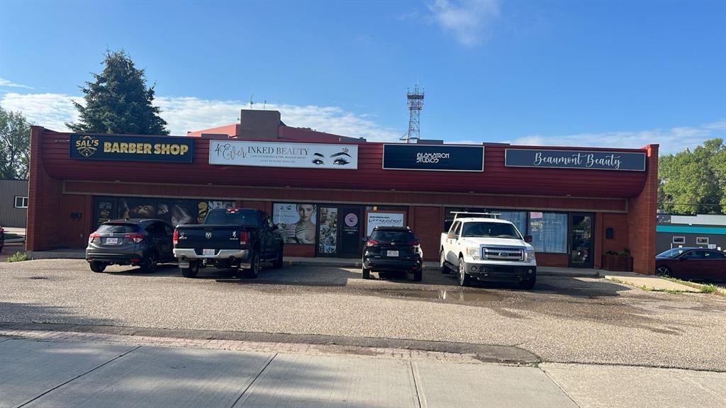 Xxx X Avenue S Lethbridge Alberta T1J 0H7 Downtown Details