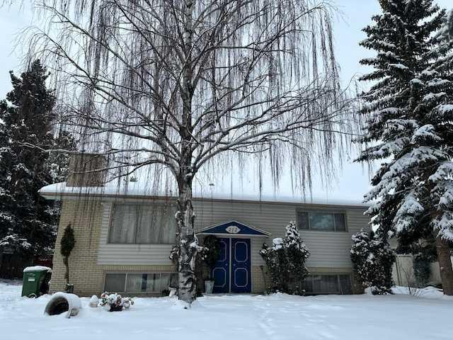 Xxx Braniff Place Sw Calgary Alberta T2W 1R8 Braeside Details