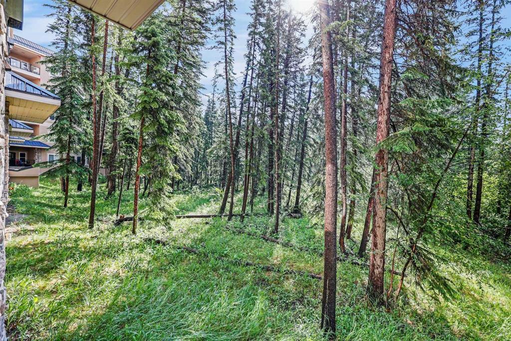 Xxx, Xx Discovery Ridge Close Sw Calgary Alberta T3H 5X3 Discovery Ridge Details