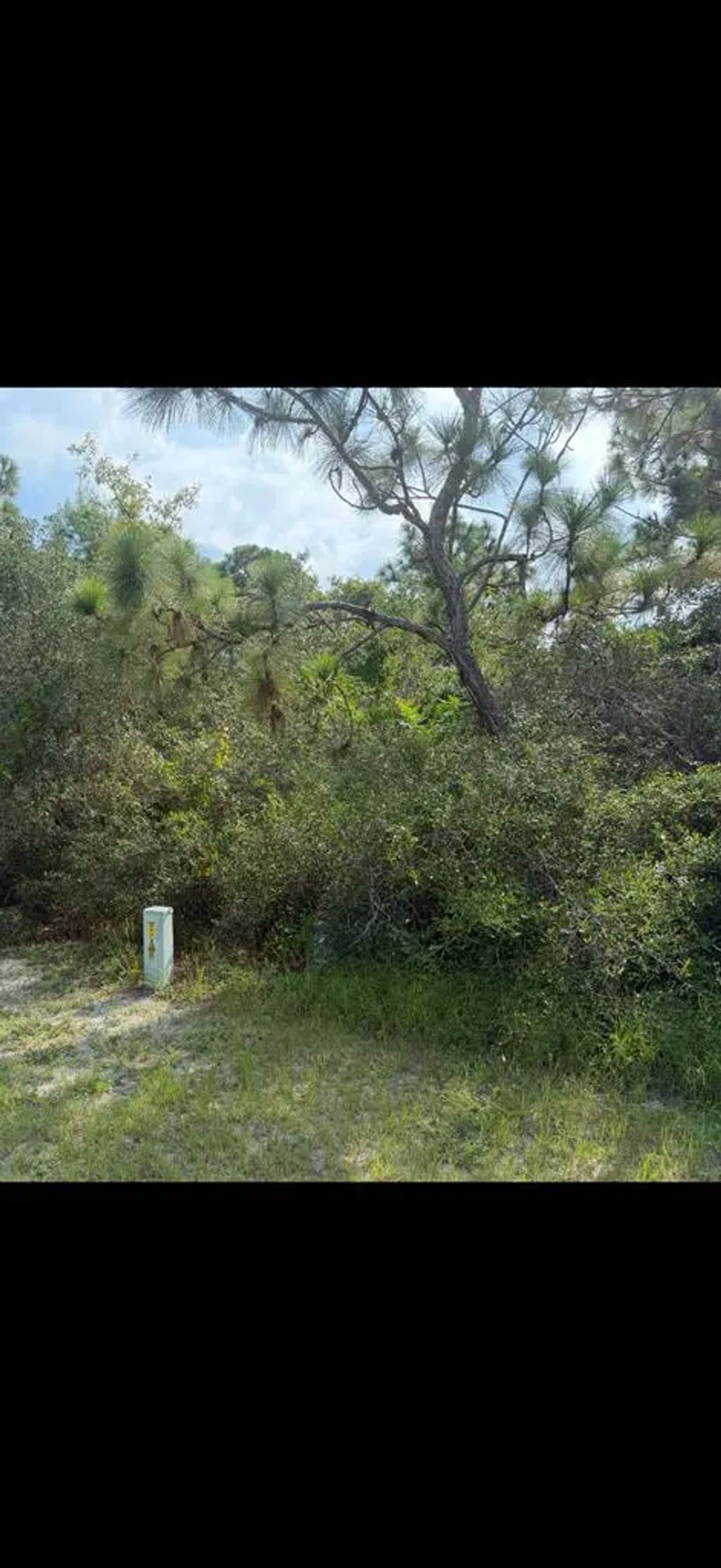 110 Anhinga Trl, Carrabelle