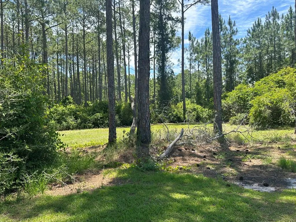 102 Royal Tern Way, Carrabelle
