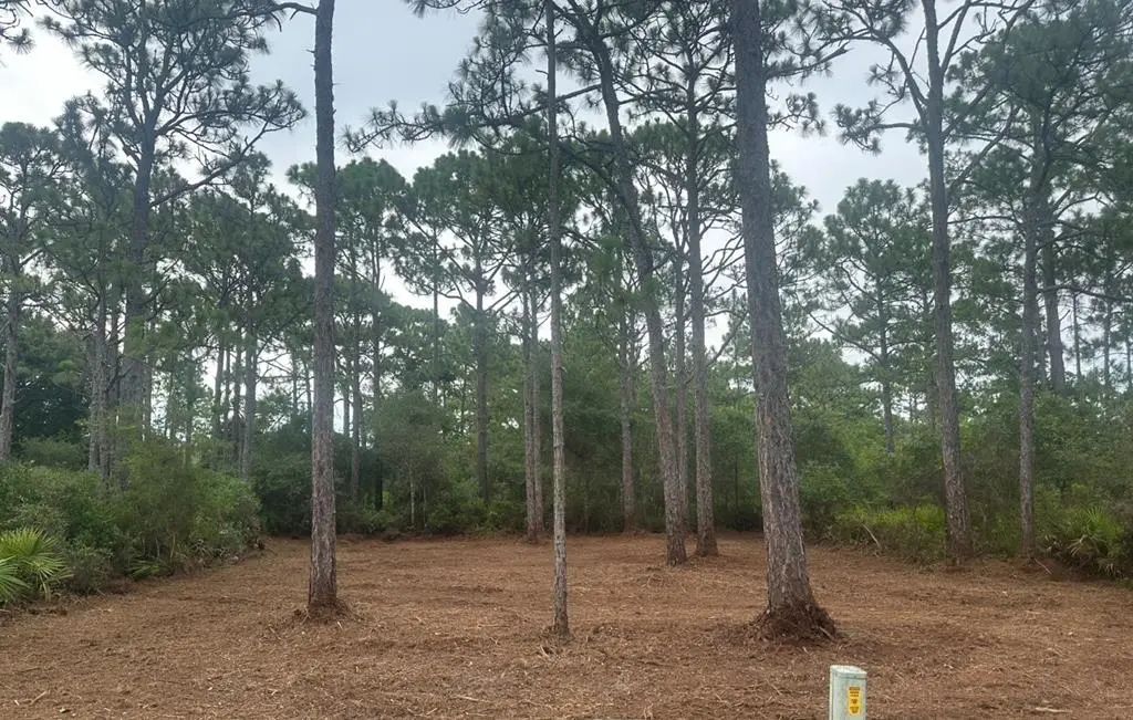 208 Royal Tern Way, Carrabelle