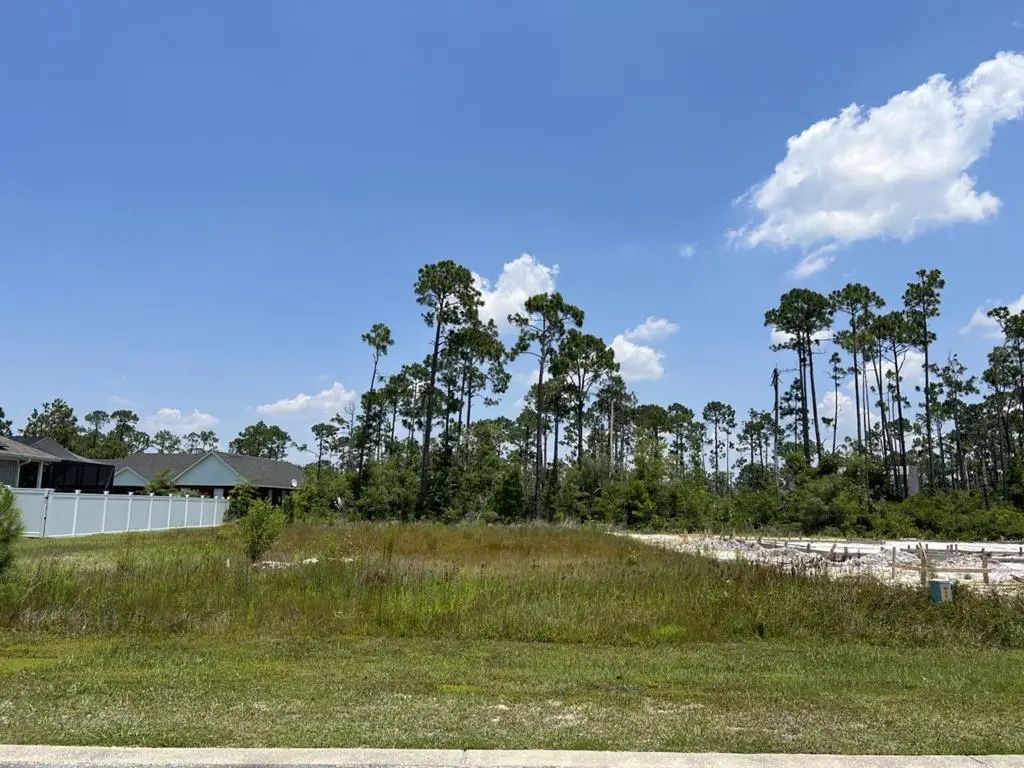 119 White Blossom Trl, Port St. Joe