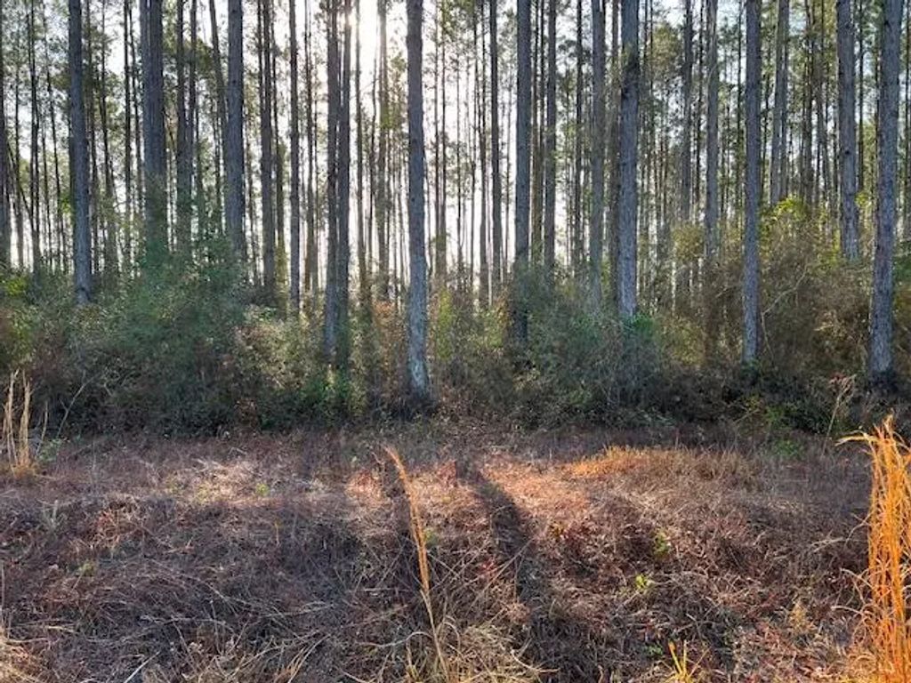 12 Douglas Landing Rd, Wewahitchka