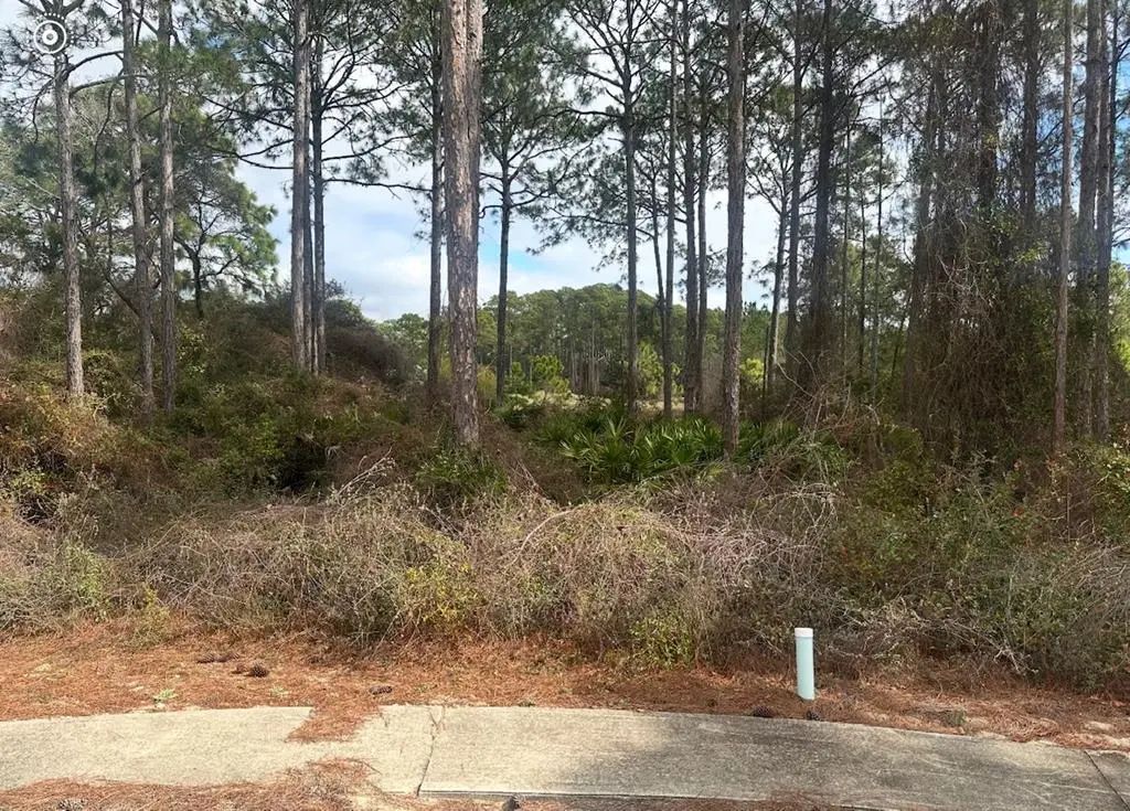 130 Spoonbill Ct, Carrabelle