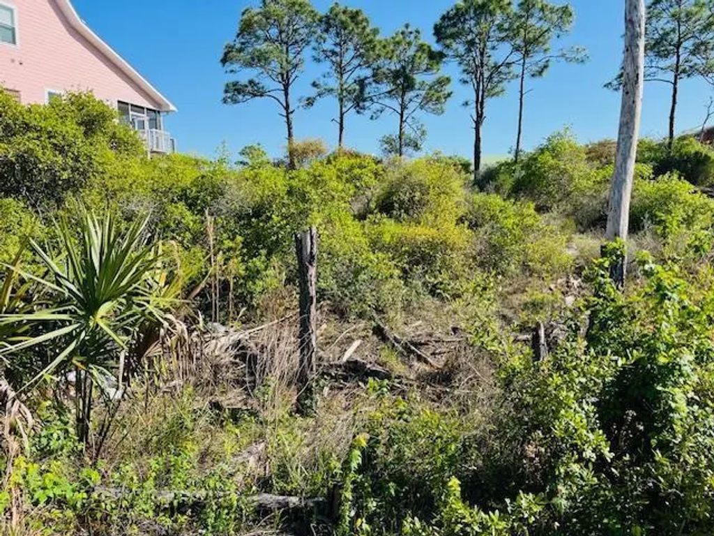 Lot 20 Turnstone Dr, Cape San Blas