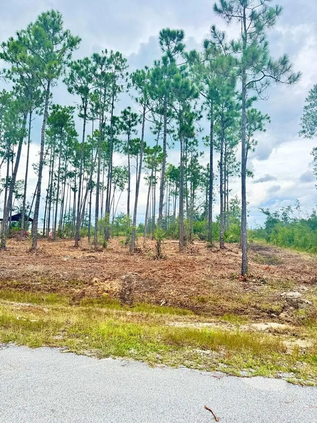 Lot 16 Live Oak Dr, Wewahitchka