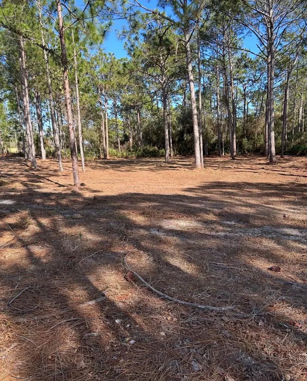 115 Plover Ct, Carrabelle