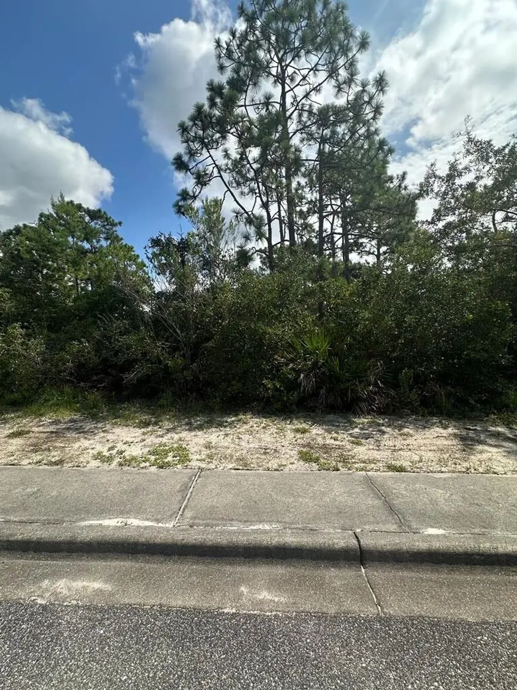 216 Royal Tern Way, Carrabelle