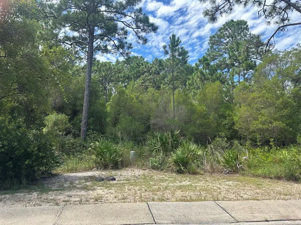 152 White Pelican Way, Carrabelle
