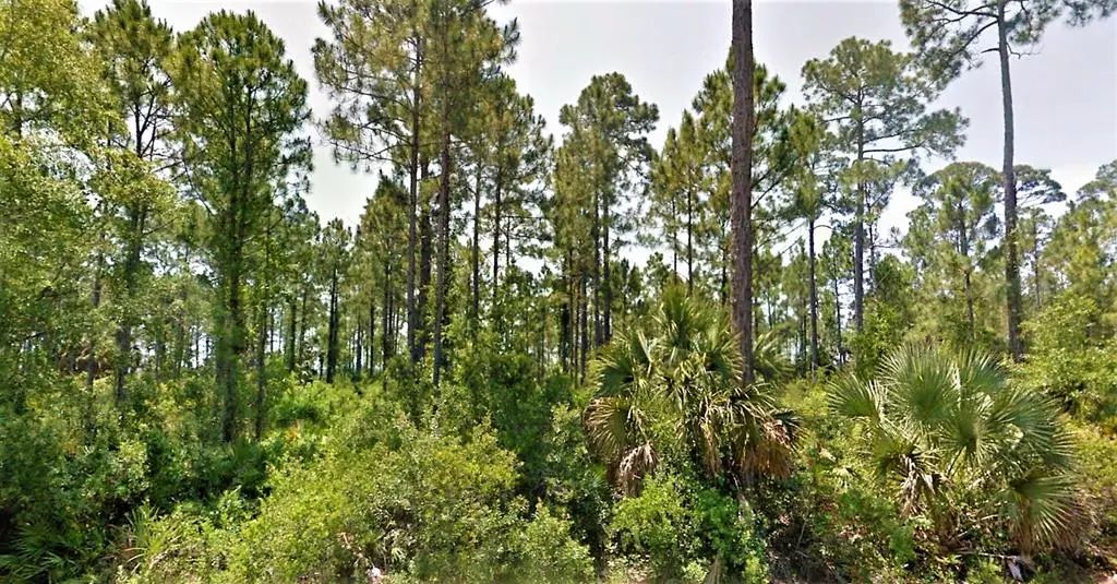 1 Cr 30-a, Port St. Joe
