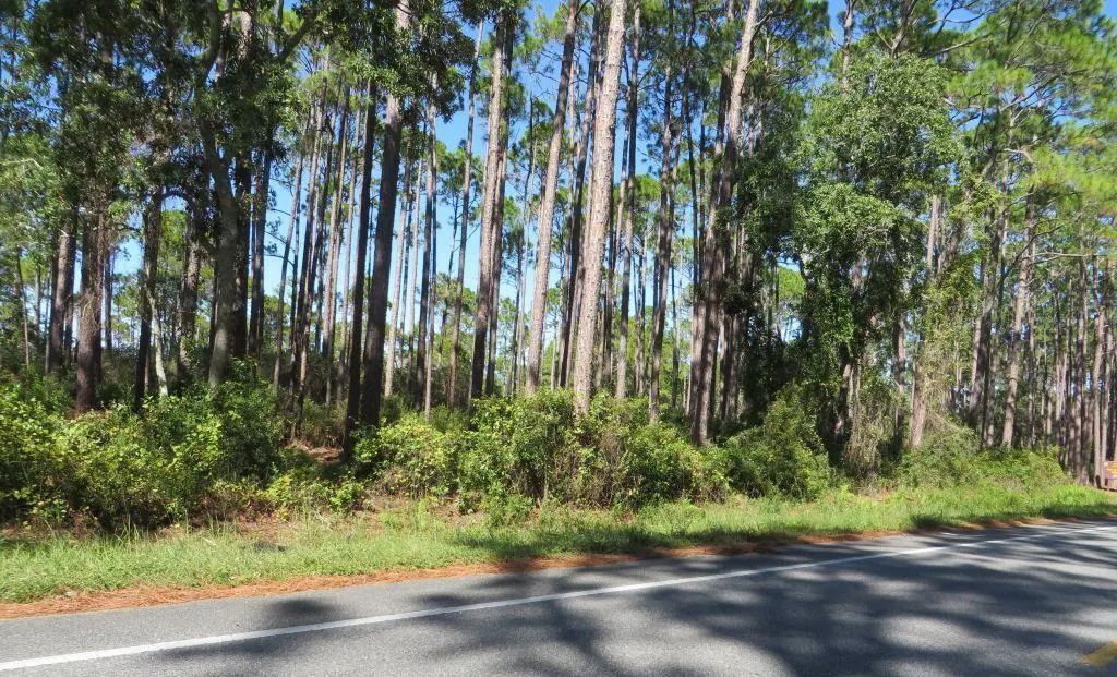2447 Hwy 98 W, Carrabelle