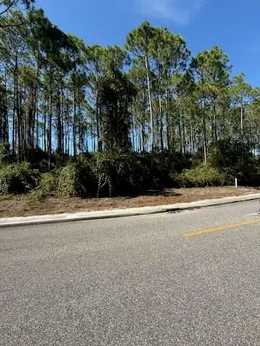 171 Royal Tern Way, Carrabelle