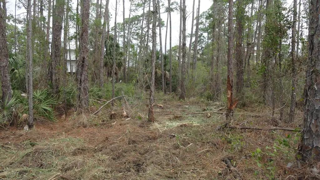 964 E Pine Ave, St. George Island