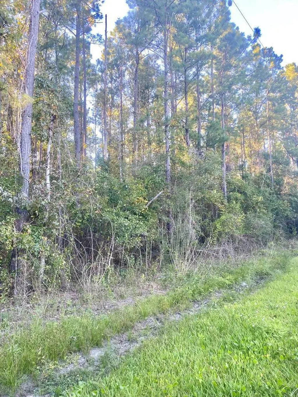 653 Bryant Landing Rd, Wewahitchka