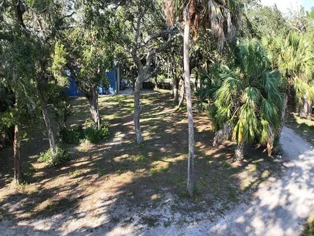 1246 Live Oak Island Rd, Crawfordville