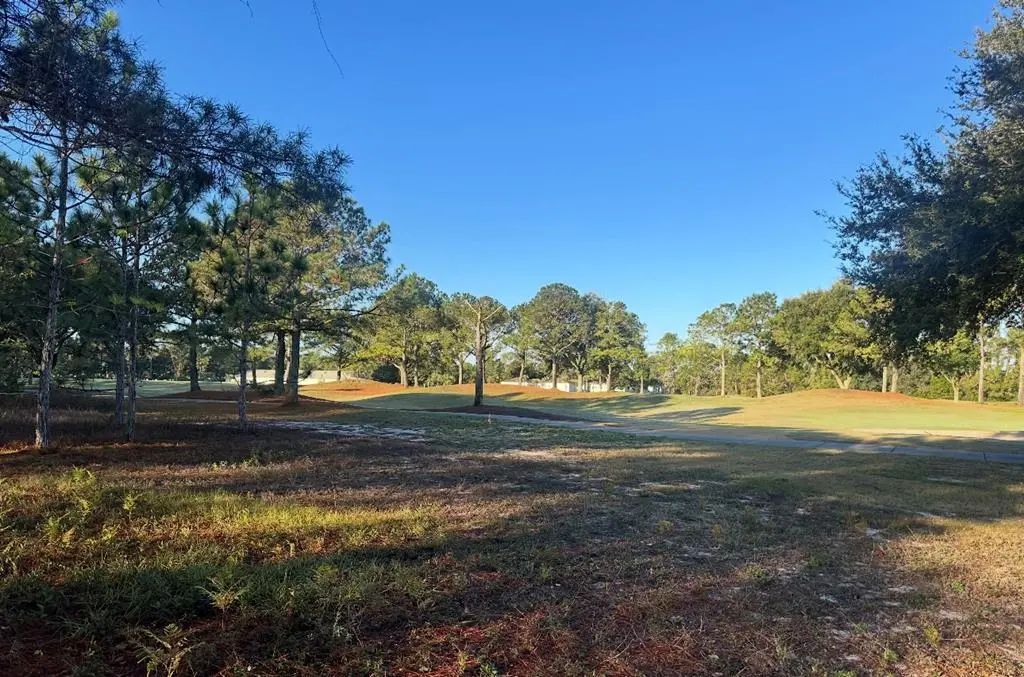 269 Royal Tern Way, Carrabelle
