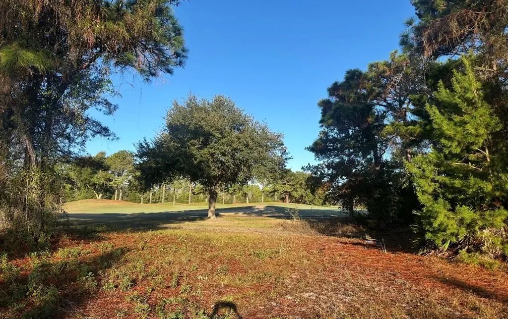 273 Royal Tern Way, Carrabelle