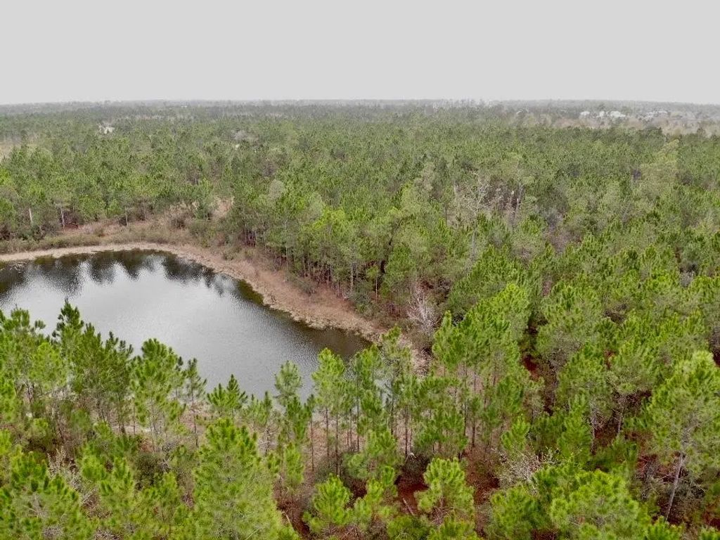 114 Wide Water Cir, Wewahitchka