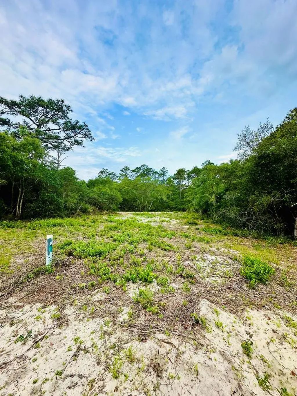 117 Spoonbill Ct, Carrabelle