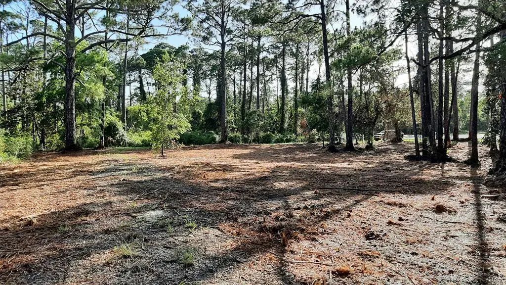 2970 Pristine Dr, Carrabelle