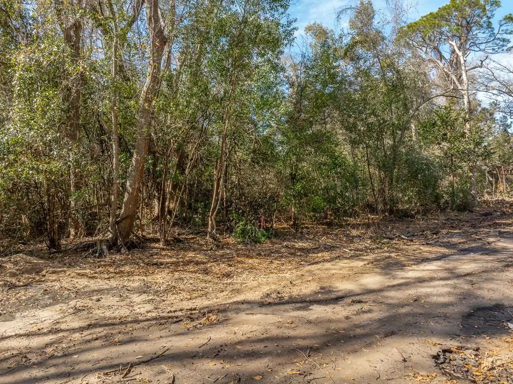 232 23rd Ave, Apalachicola
