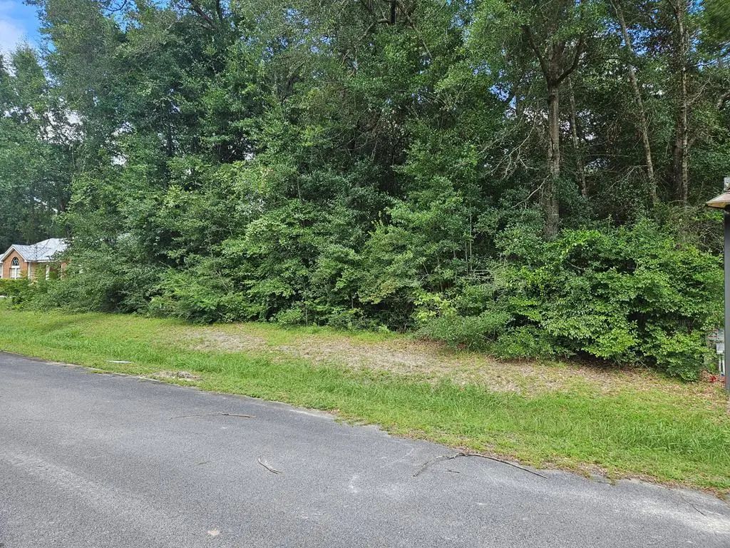 Lot 11 Little River Cir, Wewahitchka