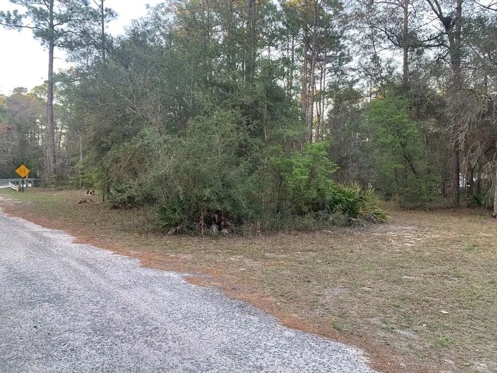 Lot 11 Buckhorn Creek Rd, Sopchoppy