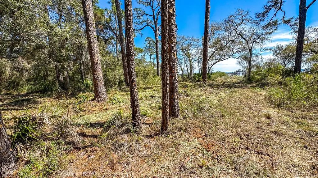2808 Hwy 98 E, Carrabelle