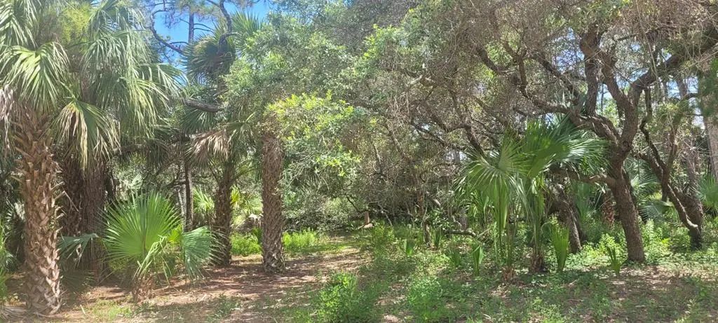 840 E Pine Ave, St. George Island
