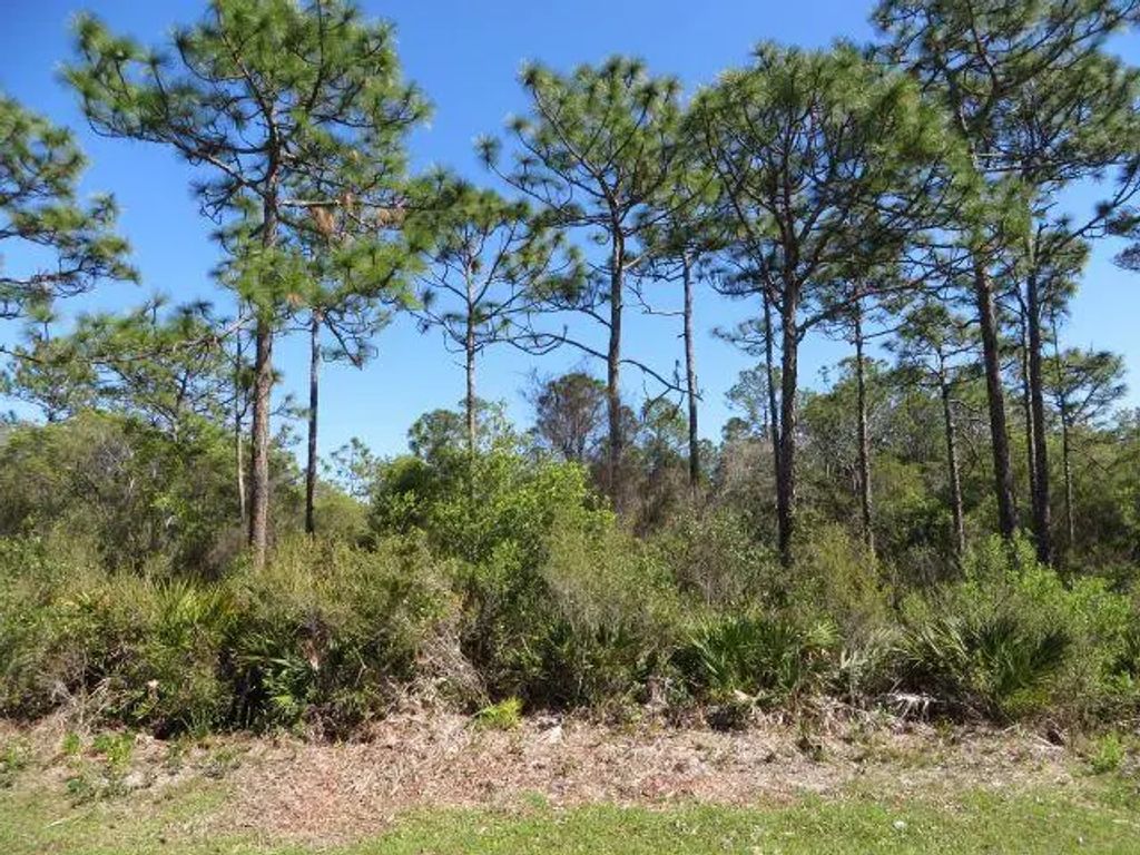 332 Frank Mckamey Way, Carrabelle