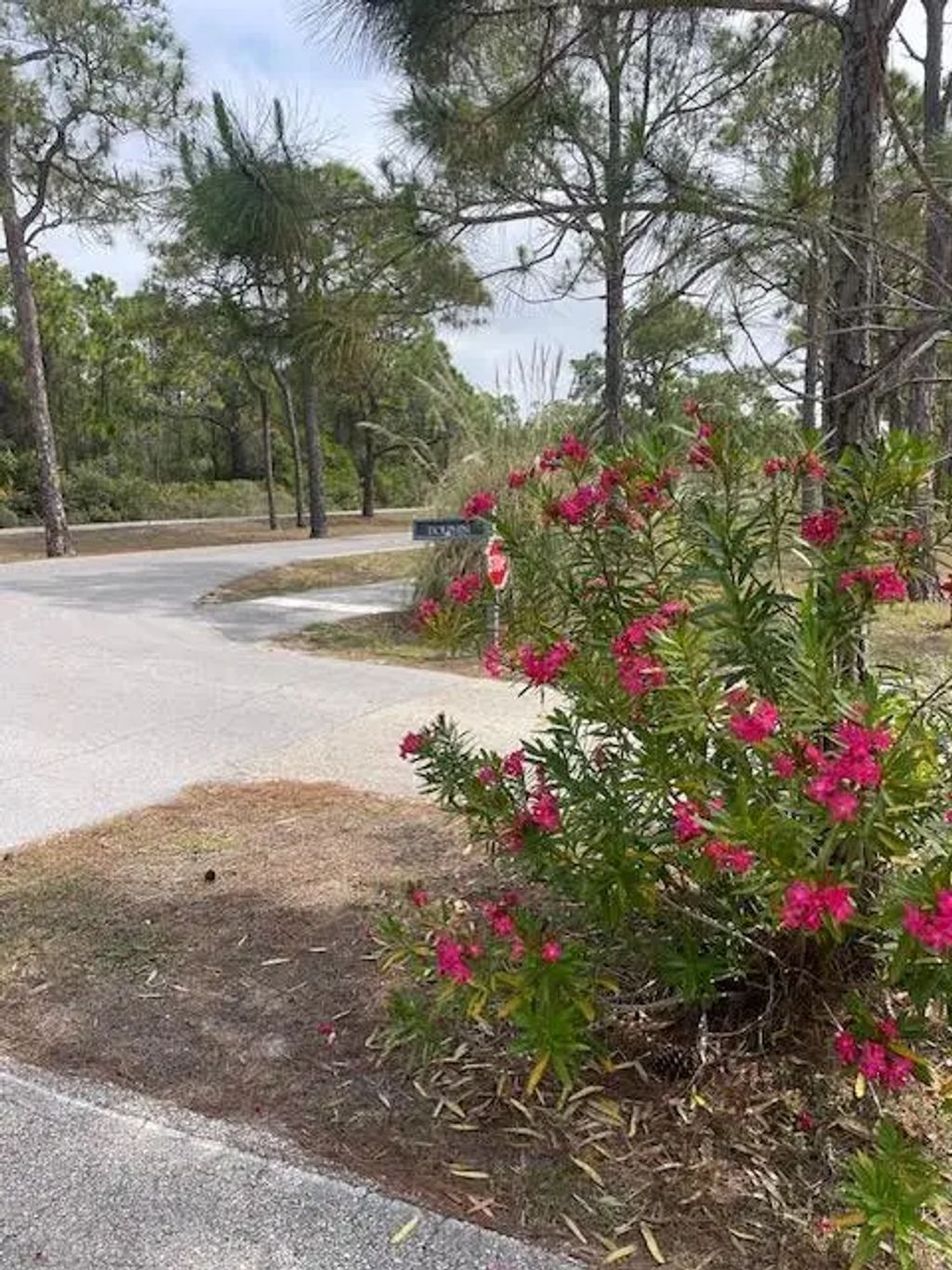 2144 Dolphin Ct, St. George Island