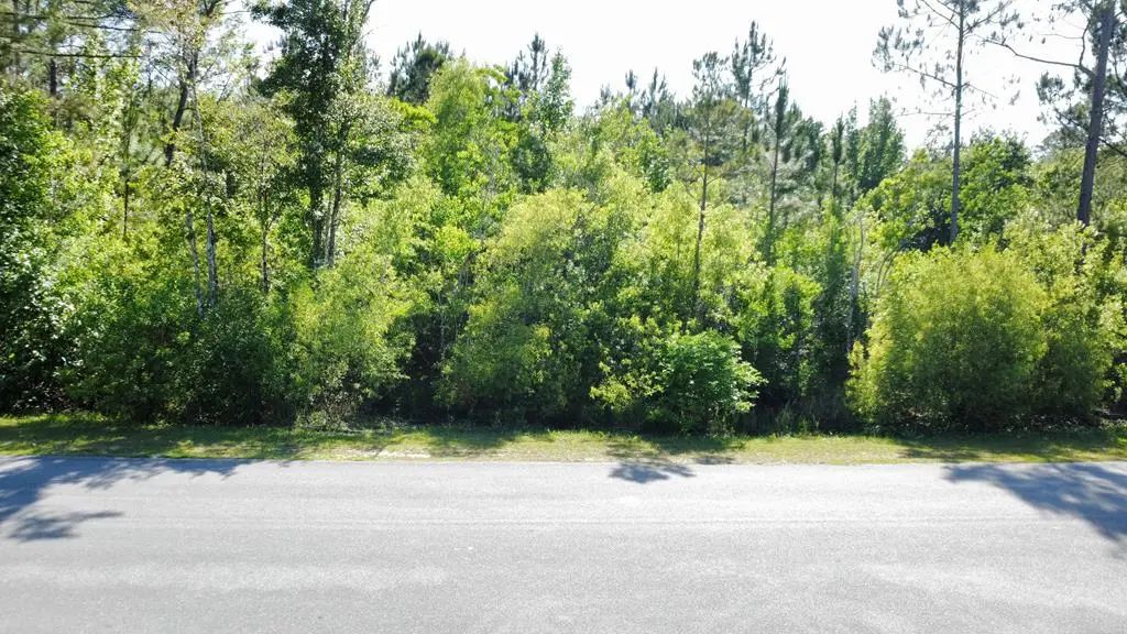 Lot 1 Old Bay City Rd, Wewahitchka