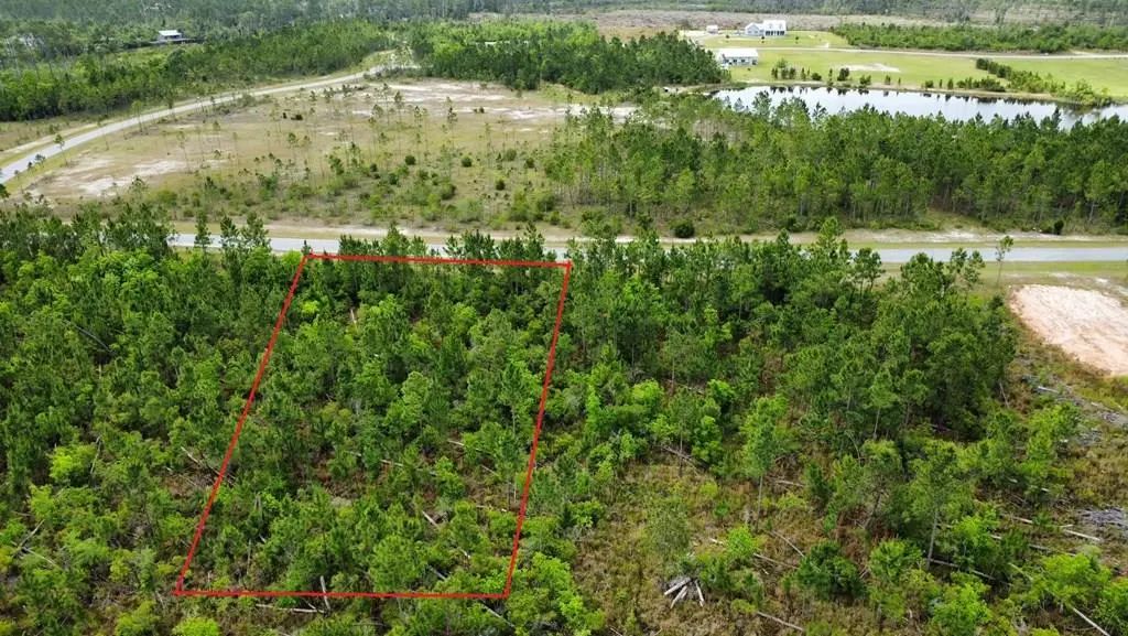 103 Torrey Pine Trl, Wewahitchka