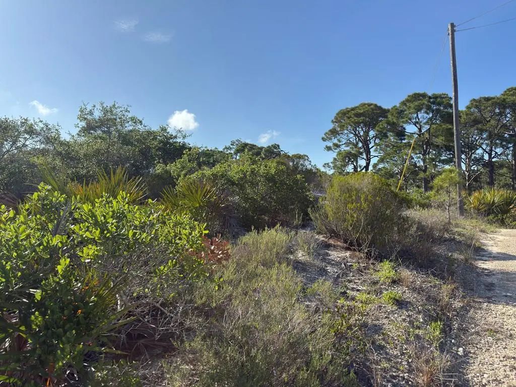 105 Sand Trace Dr, Cape San Blas