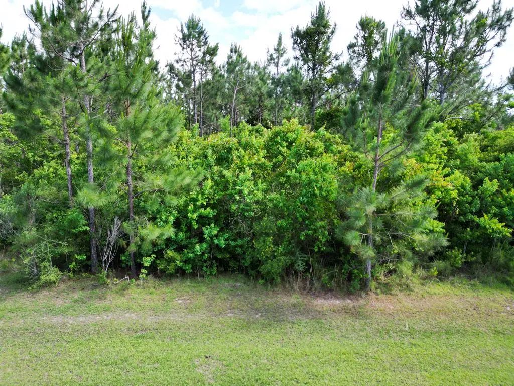 110 Torrey Pine Trl, Wewahitchka