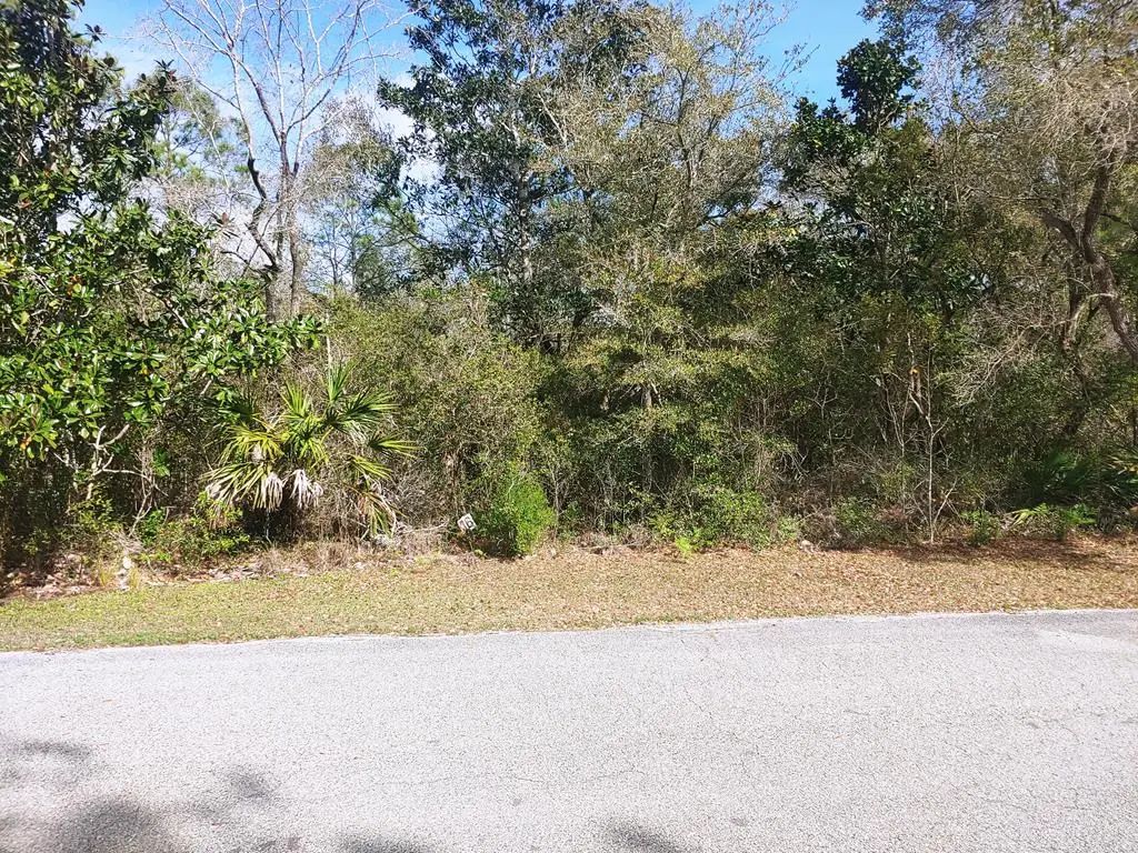 125 Water Oaks Way, Apalachicola