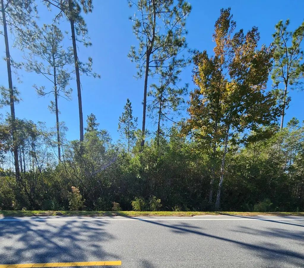 Lot 32 Doc Whitfield Rd, Wewahitchka