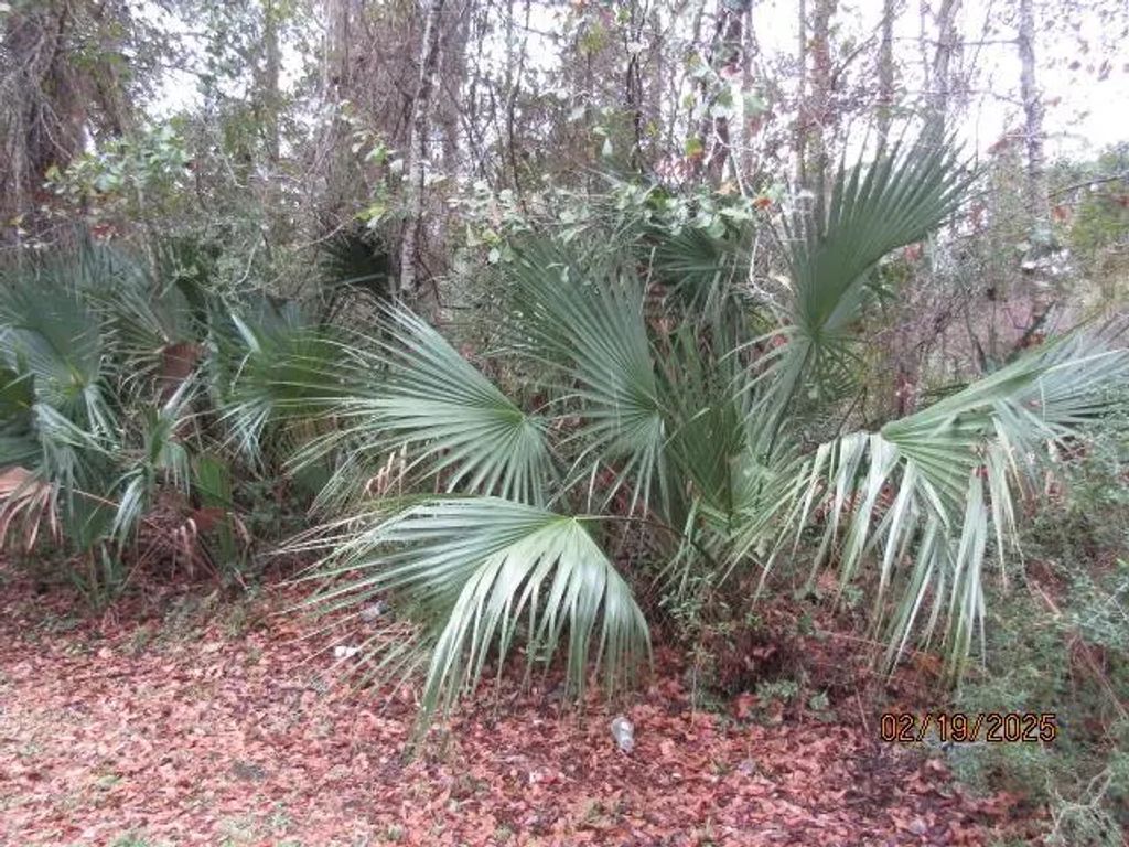 358 20th Ave, Apalachicola