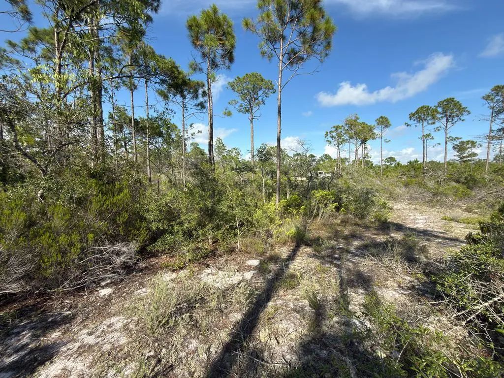Lot A Adventure Ave, Port St. Joe