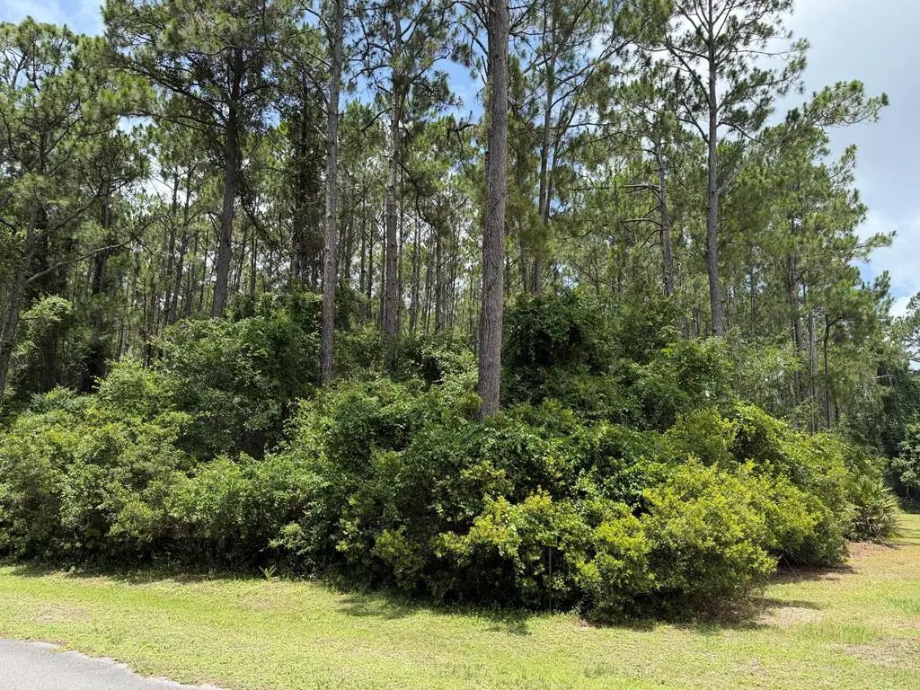 241 Boncycle Land Dr, Eastpoint